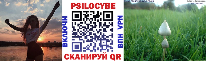 мега вход  что такое   Озёры  Галлюциногенные грибы Psilocybine cubensis 
